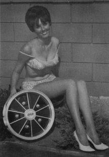 Speedwell BRM Wheels